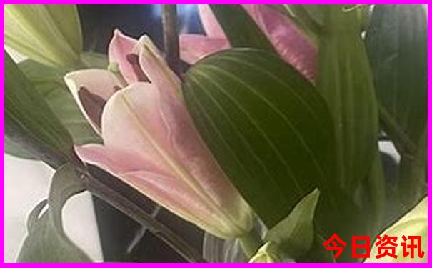 5号线经过的好玩景点